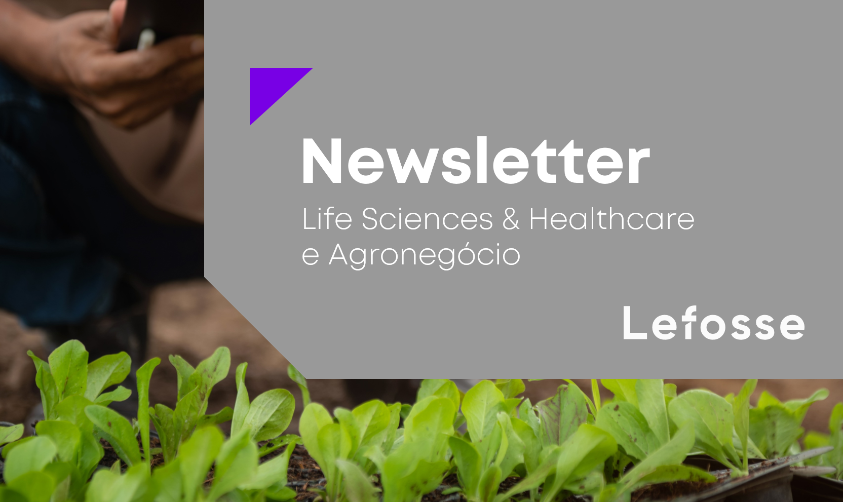 Nova Lei estabelece autocontrole no setor agropecurário