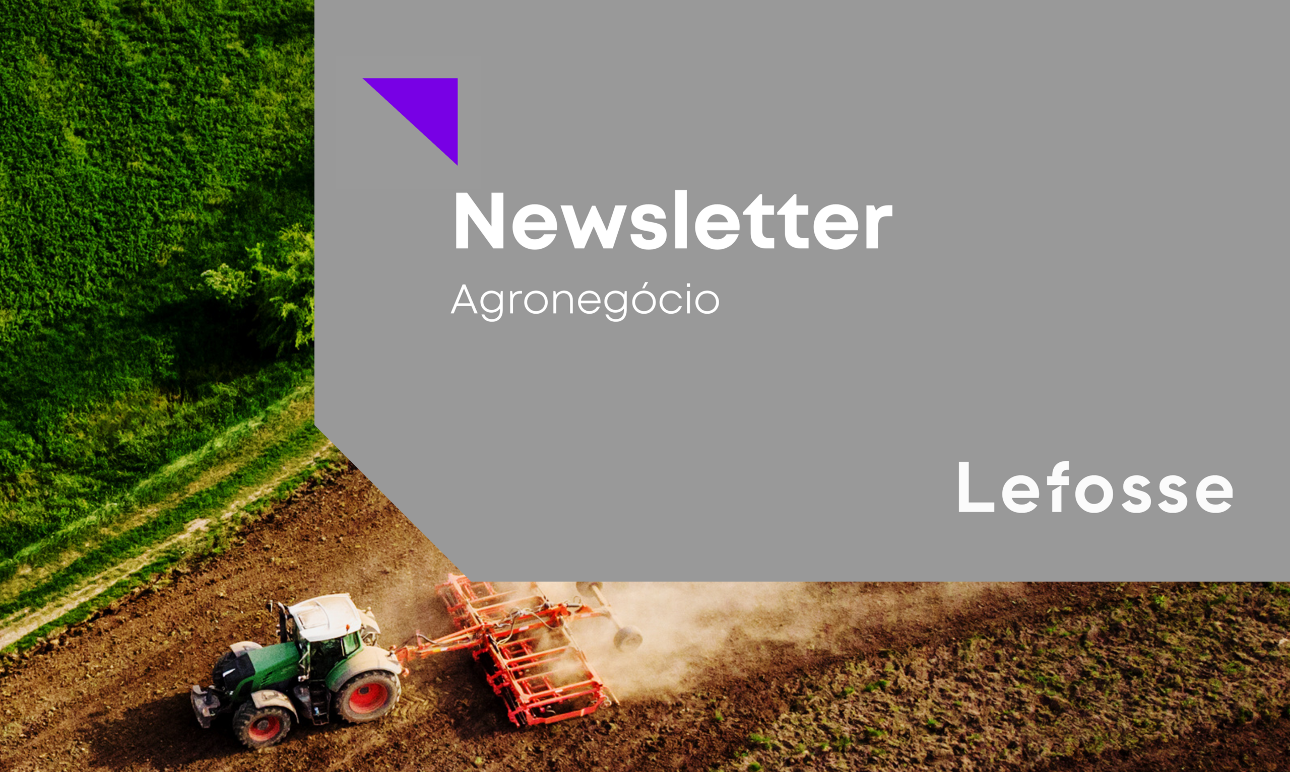 CTNBio autoriza plantio e comercialização de trigo transgênico resistente à seca