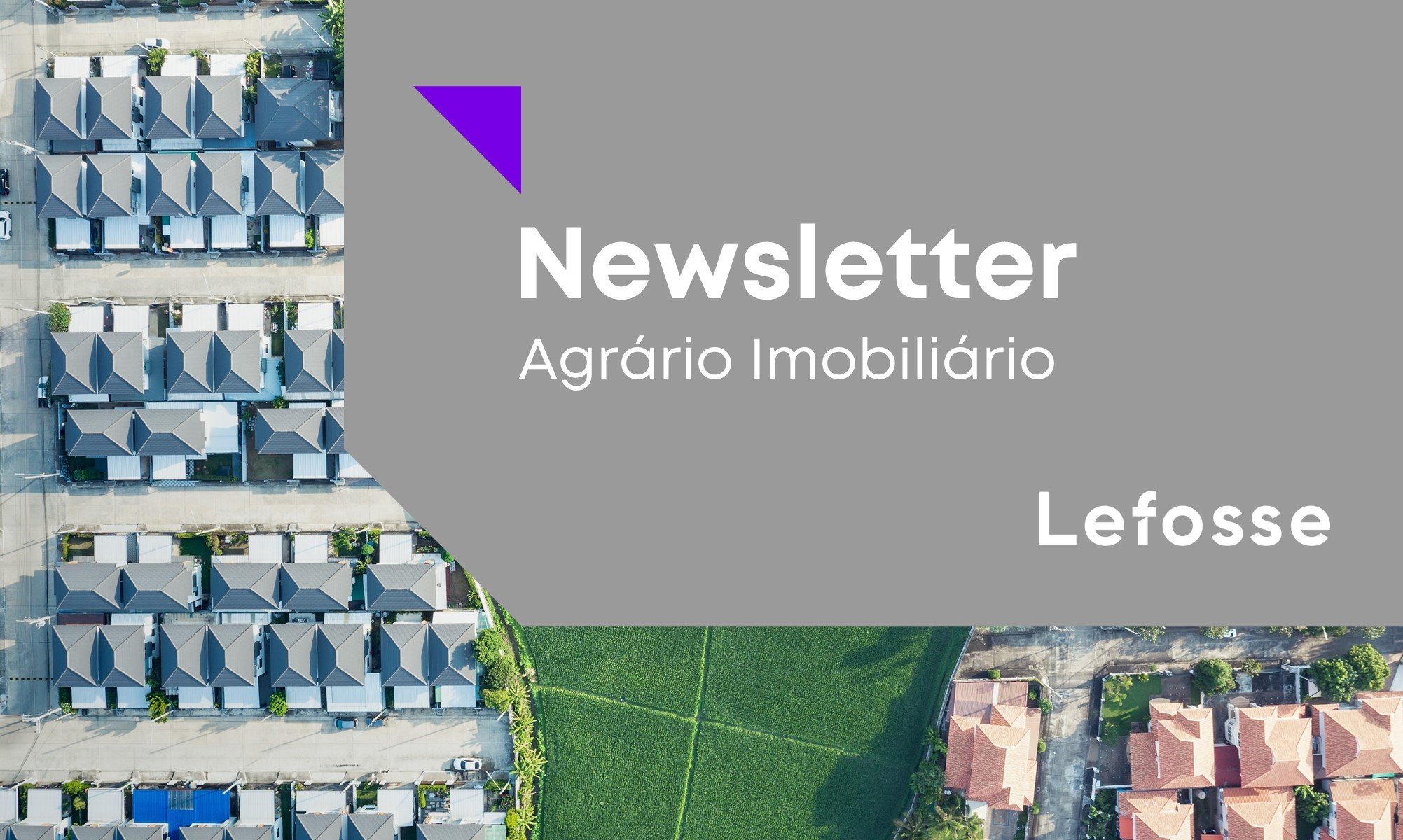 STF define que imóvel rural produtivo pode ser desapropriado para fins de reforma agrária