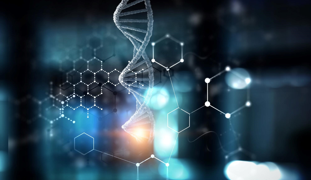 Life Sciences and Healthcare: check out the 2024 retrospective and the trends for 2025